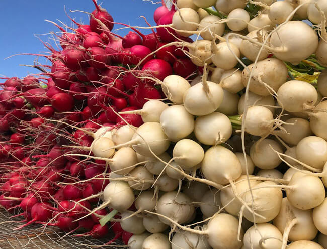 Fruitland Farmers Market