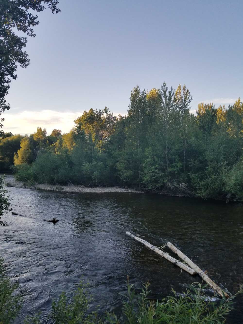 boise river morrison center boise