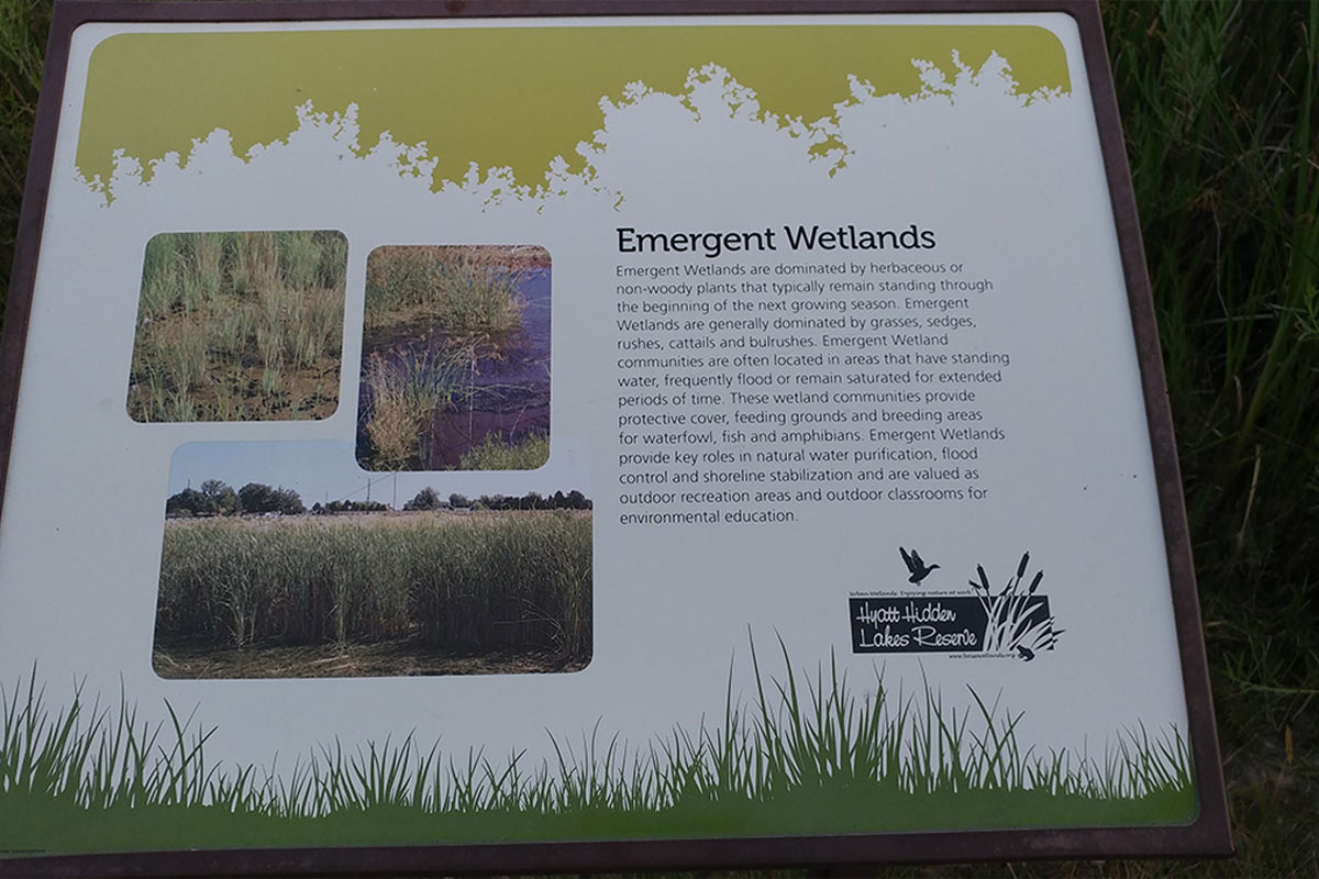 Boise Outdoor Recreation