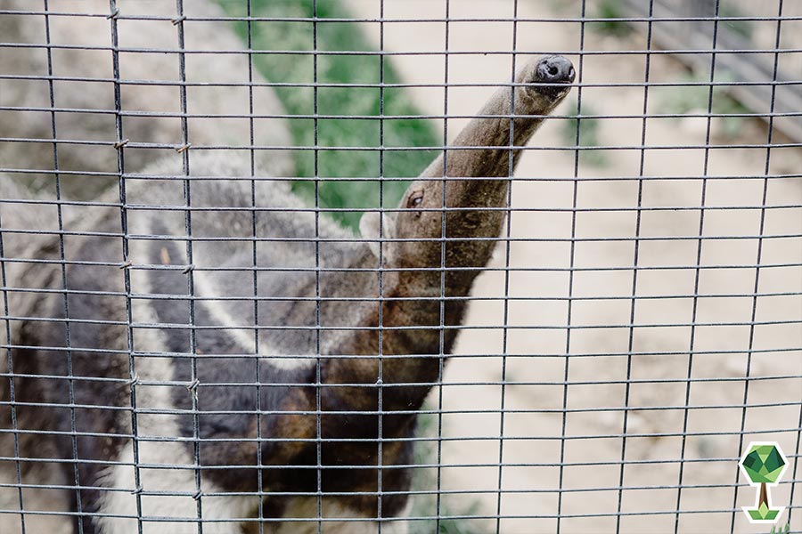 Zoo Boise | Totally Boise